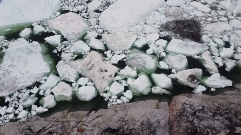 氣候變化：隨著北極變暖格陵蘭島的發(fā)生了什么變化？